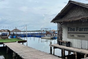 Bangkok: Horse Riding on Hua Hin Beach with Private Transfer