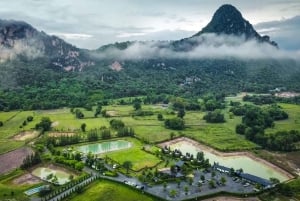 Bangkok: Horse Riding on Hua Hin Beach with Private Transfer