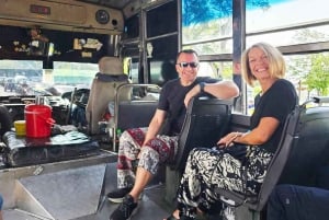 Bangkok in a Day: Must-Visit Highlights Tour with a Guide