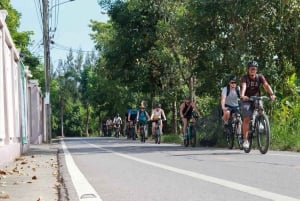 Bangkok Jungle Bike Tour: Pick up and Lunch included