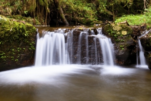 Bangkok: Kanchanaburi, brug over de Kwai, Hellfire Pass-tour
