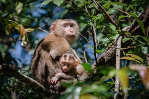 Bangkok: Khao Yai National Park Small Group Hiking Tour