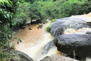 Bangkok: Khao Yai National Park Small Group Hiking Tour