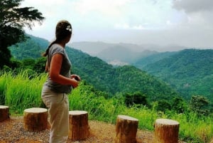 Bangkok: Khao Yai National Park Small Group Hiking Tour