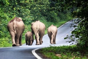 Bangkok: Khao Yai National Park with Horseback Ride Day Trip