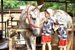 Bangkok: Dagtrip Nationaal Park Khao Yai met paardrijden