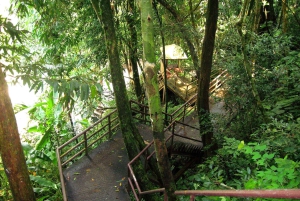 Bangkok: Khao Yai National Park with Horseback Ride Day Trip