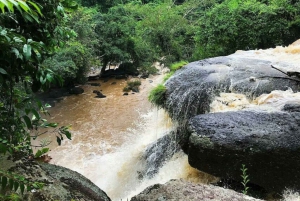 Bangkok: Khao Yai National Park with Horseback Ride Day Trip
