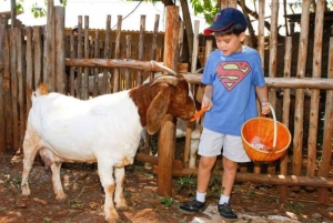 Bangkok: Khao Yai National Park with Horseback Ride Day Trip