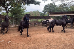 Bangkok: Khao Yai National Park with Horseback Ride Day Trip