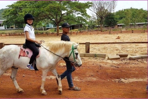 Bangkok: Khao Yai National Park with Horseback Ride Day Trip