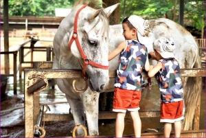 Bangkok: Khao Yai National Park with Horseback Ride Day Trip