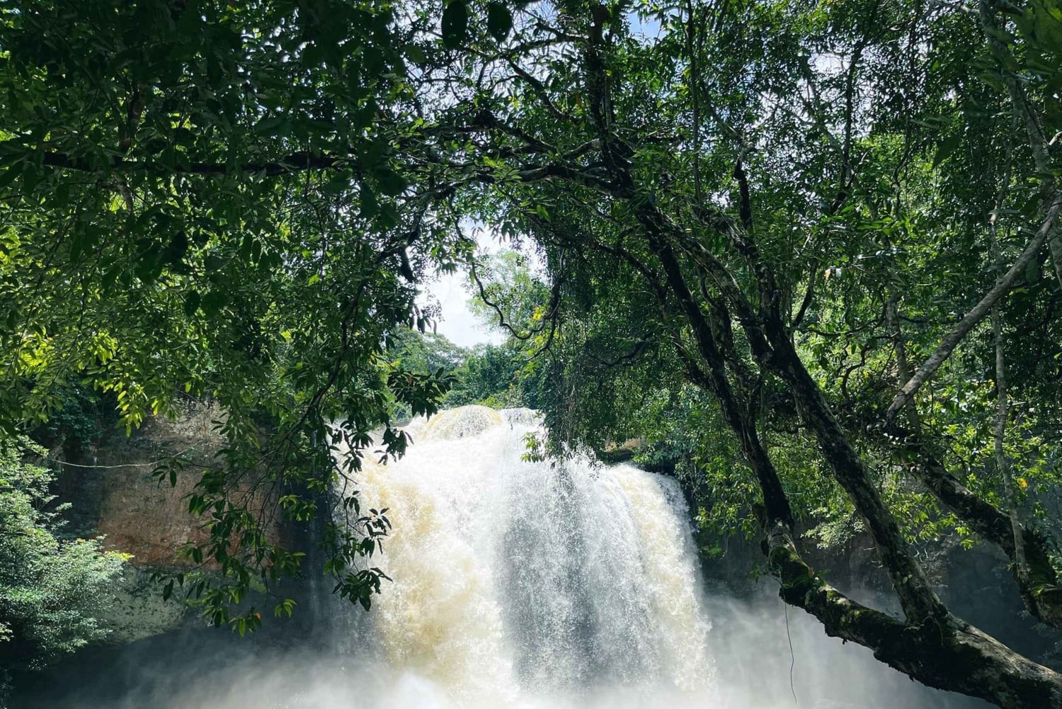 Bangkok: Tour particular em carro fretado pela natureza e vida selvagem de Khao Yai