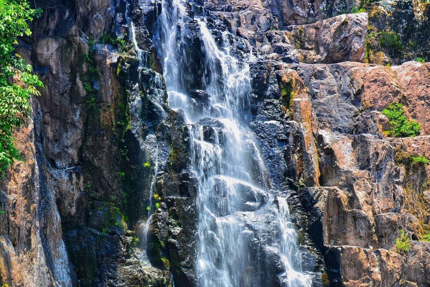 Bangkok: Tour particular em carro fretado pela natureza e vida selvagem de Khao Yai