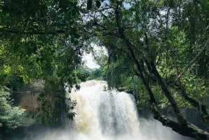 Bangkok: Tour particular em carro fretado pela natureza e vida selvagem de Khao Yai