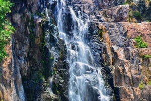 Bangkok: Tour particular em carro fretado pela natureza e vida selvagem de Khao Yai