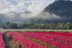 Bangkok: Tour particular em carro fretado pela natureza e vida selvagem de Khao Yai