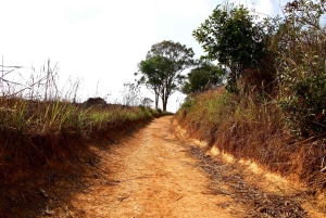 Bangkok: Cachoeiras de Khao Yai, observação de veados e caminhadas na selva