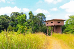 Bangkok: Cachoeiras de Khao Yai, observação de veados e caminhadas na selva