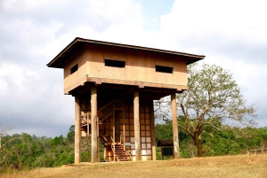 Bangkok: Cachoeiras de Khao Yai, observação de veados e caminhadas na selva
