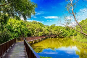 Bangkok: Mercado de Khlong Toei y Excursión en Bicicleta por la Isla de Bang Krachao