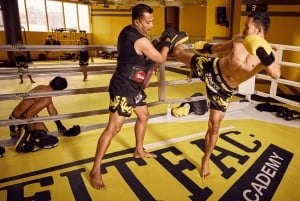 Bangkok: Learn 1-1 Muay Thai + Free Muaythai Shorts & Pickup