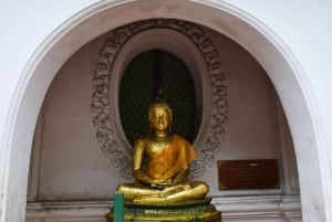 Bangkok: Lotus Fields, Orchid Farm, and Flower Market Tour