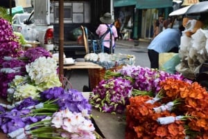 Bangkok: Lotus Fields, Orchid Farm, and Flower Market Tour