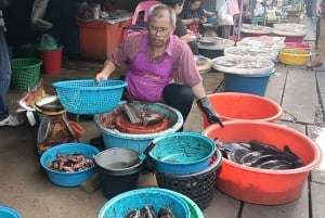 Bangkok: Maeklong Railway & Damnoen Saduak flytende markeder