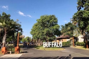 Bangkok : Marché ferroviaire de Maeklong et marché flottant d'Amphawa