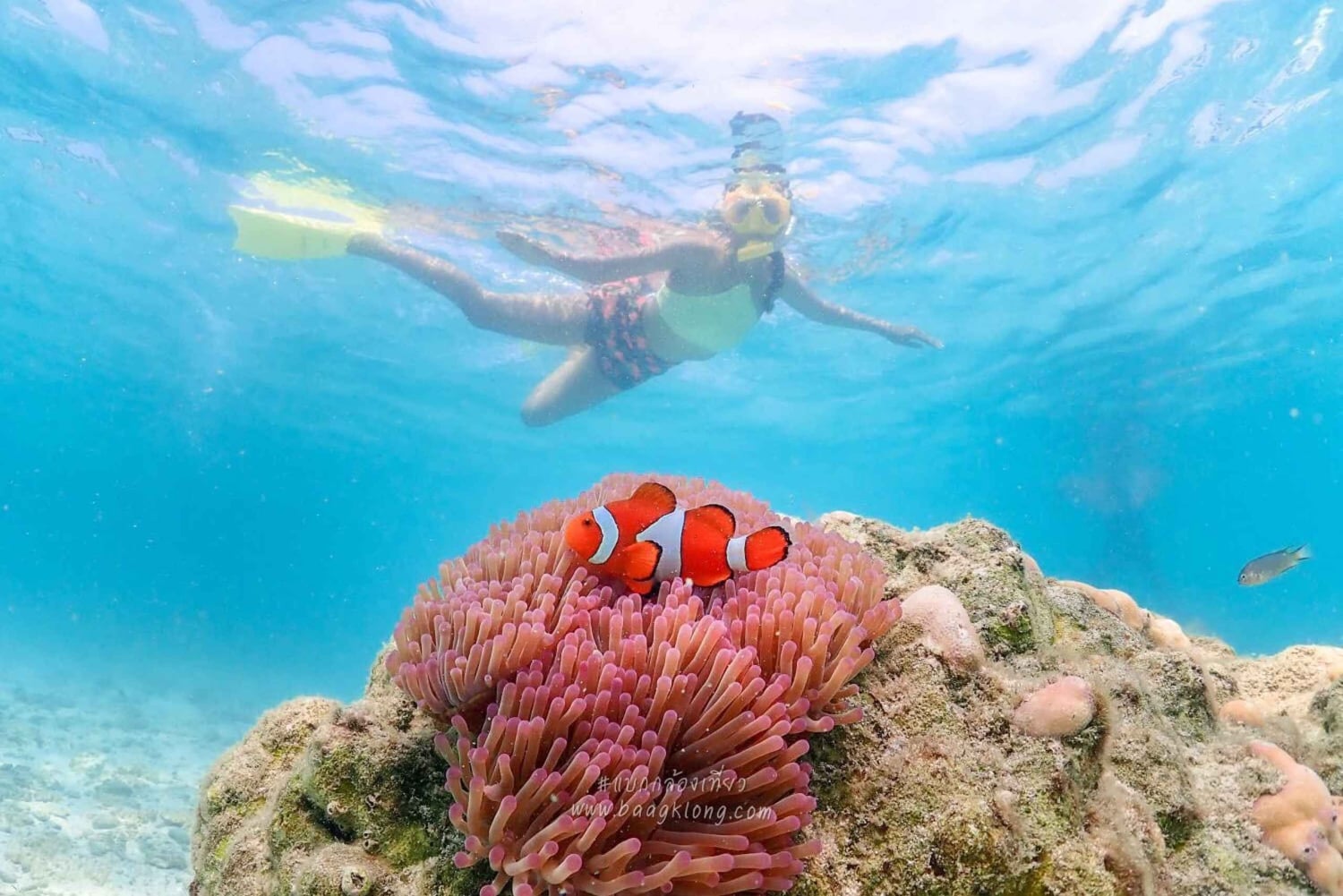 Bangkok: Excursión de un día a la Isla de Nemo con fotos de drones y almuerzo