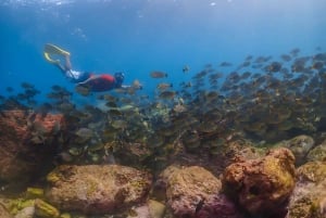 Bangkok: Excursión de un día a la Isla de Nemo con fotos de drones y almuerzo