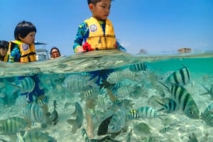 Bangkok: Excursión de un día a la Isla de Nemo con fotos de drones y almuerzo