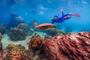 Bangkok: Excursión de un día a la Isla de Nemo con fotos de drones y almuerzo