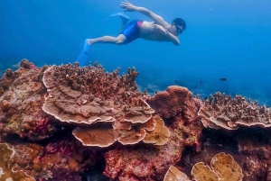 Bangkok: Excursión de un día a la Isla de Nemo con fotos de drones y almuerzo