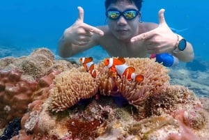 Bangkok: Excursión de un día a la Isla de Nemo con fotos de drones y almuerzo