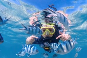 Bangkok: Excursión de un día a la Isla de Nemo con fotos de drones y almuerzo