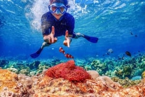 Bangkok: Excursión de un día a la Isla de Nemo con fotos de drones y almuerzo