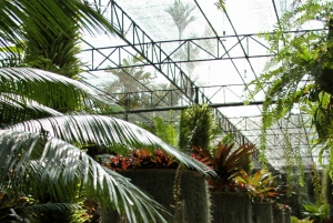 Bangkok: Nong Nooch Garden