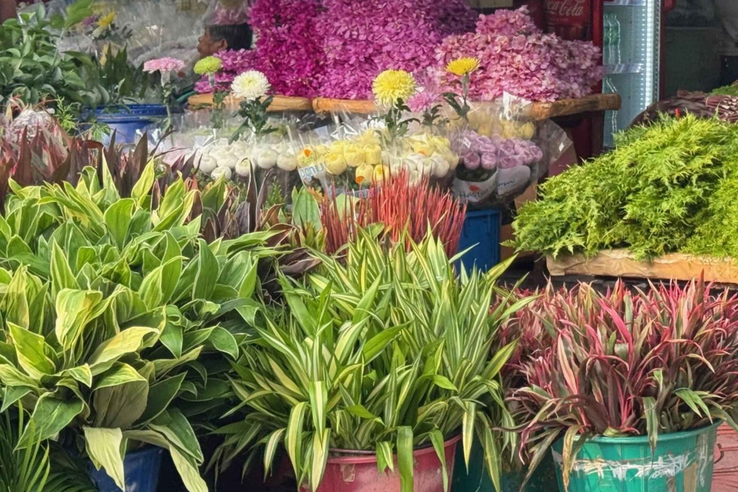 Bangkoks gamle bydel: Rundtur til skjulte perler med Michelin-guide og frokost