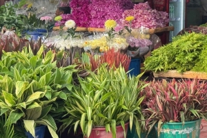 Bangkoks gamle bydel: Rundtur til skjulte perler med Michelin-guide og frokost