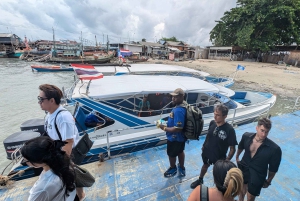 Bangkok: One-way Transfer to/from Koh Samet Island
