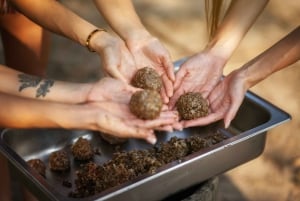 Bangkok: Pattaya Olifanten Jungle Heiligdom Halve Dag Tour