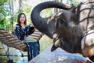 Bangkokissa: Pattaya Elephant Sanctuary & Sanctuary of Truth: Pattaya Elephant Sanctuary & Sanctuary of Truth