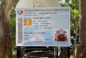 Bangkok/Pattaya: Khao Kheow -eläintarhan yksityiskierros noutoineen