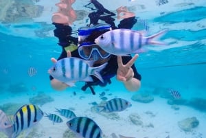 Bangkok og Pattaya: VIP-dagstur til Koh Larn med vandsport