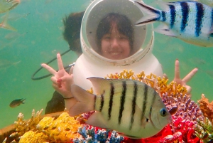 Bangkok og Pattaya: VIP-dagstur til Koh Larn med vandsport