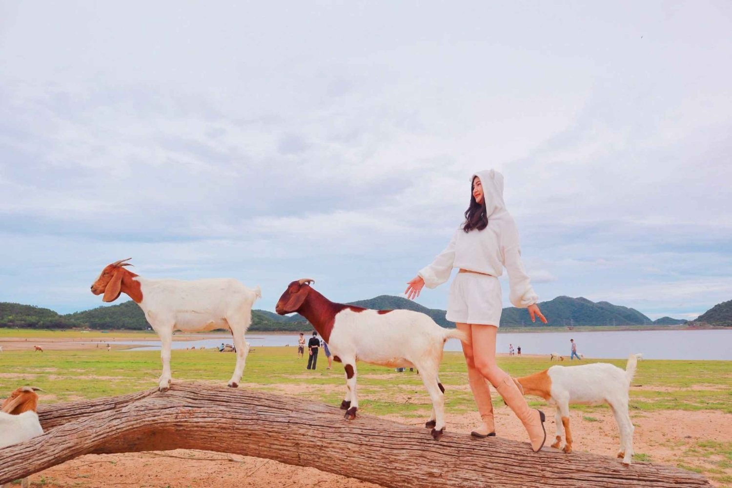 Bangkok: Pranburi Dam, Goat Feeding, and Lunch Day Trip