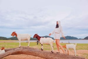 Bangkok: Pranburi Dam, Goat Feeding, and Lunch Day Trip