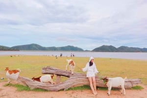 Bangkok: Pranburi Dam, Goat Feeding, and Lunch Day Trip